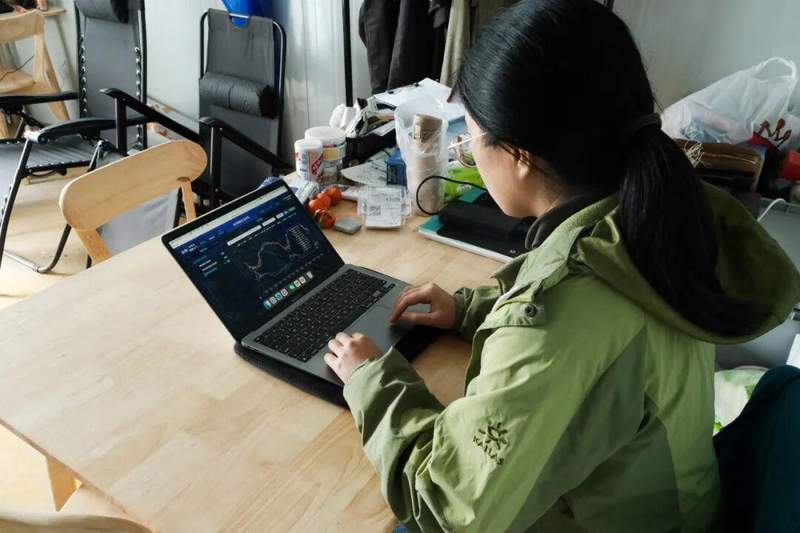  高学历青年返乡创业；追求内心自由；草莓田里收获人生真谛。 文化旅游