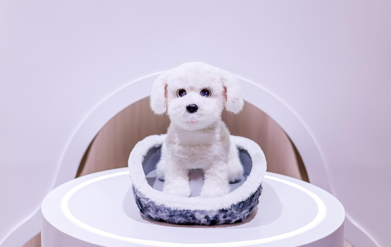  AWE2026盛会开启，科沃斯具身智能新篇章；八界管家机器人首次亮相，引领家庭服务变革。 IT技术 AWE2026盛会开启，科沃斯具身智能新篇章；八界管家机器人首次亮相，引领家庭服务变革。 IT技术