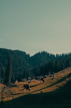 场景深耕显实效；多地公布数字人民币最新成绩单。