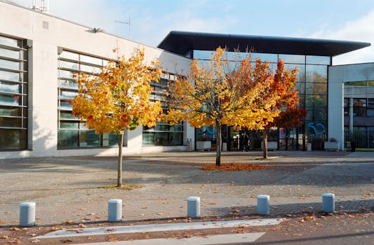 数字浪潮中，法治之光闪耀；普法创新路，护航前行。