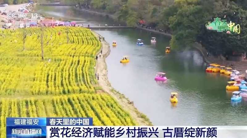  【乡村经营者】解锁古村落流量：打造全感官沉浸式旅游方案 企业服务
