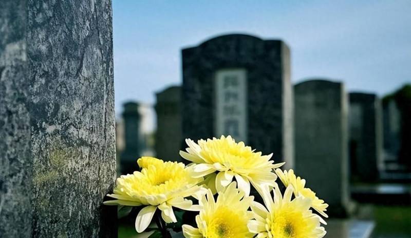 当老家变成了“最熟悉的陌生地”：一碗面背后的心酸与和解