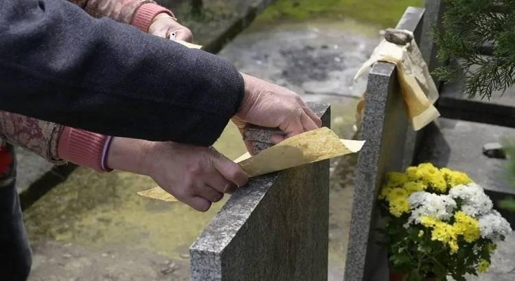  当老家变成了“最熟悉的陌生地”：一碗面背后的心酸与和解 情感心理