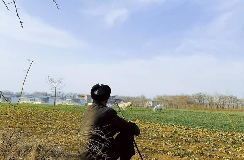  当老家变成了“最熟悉的陌生地”：一碗面背后的心酸与和解 情感心理