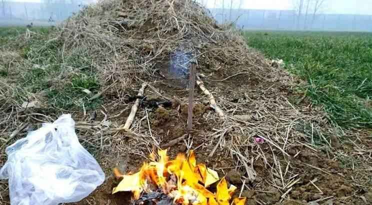  当老家变成了“最熟悉的陌生地”：一碗面背后的心酸与和解 情感心理