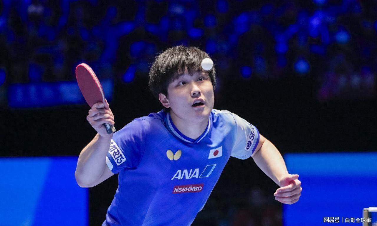  从宠儿到弃子：归化选手的制度性困境深度解析 体育新闻