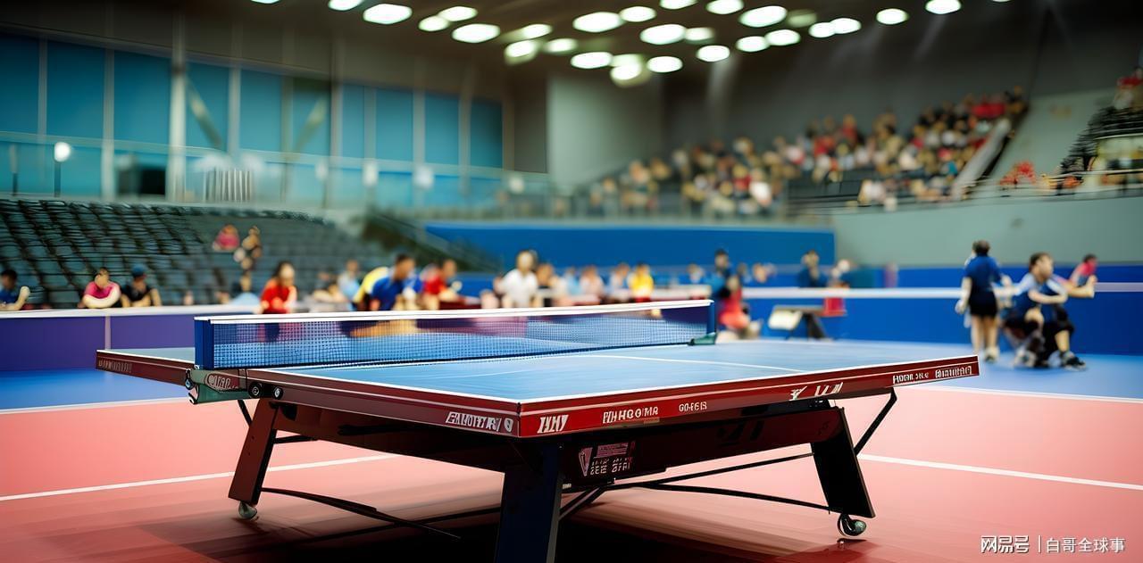  从宠儿到弃子：归化选手的制度性困境深度解析 体育新闻