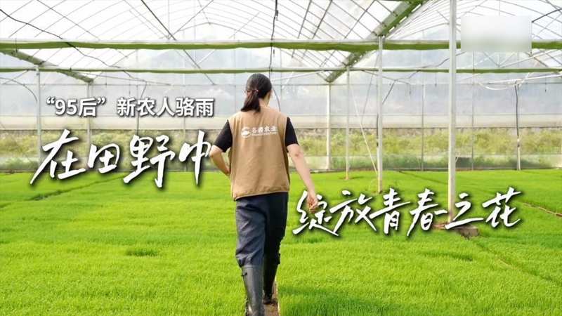  技术赋能下的田野革命：新农人从入门到精通的实战方法论 IT技术