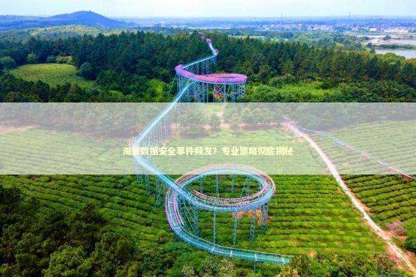 海量数据安全事件频发？专业策略彻底揭秘 新闻