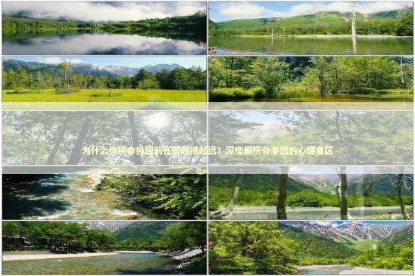 为什么你拼命挽回前任却越推越远？深度解析分手后的心理盲区