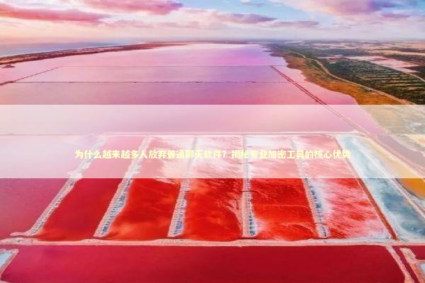 为什么越来越多人放弃普通聊天软件？揭秘专业加密工具的核心优势