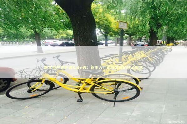 数字资产守护者SafeW：新手入门必须掌握的核心概念