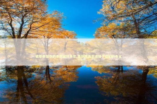 被那些复杂的条款困扰多年,直到我真正读懂了它们的含义 IT技术