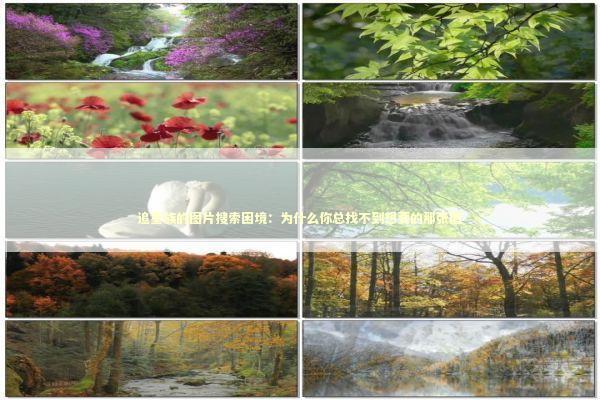 追星族的图片搜索困境：为什么你总找不到想要的那张图