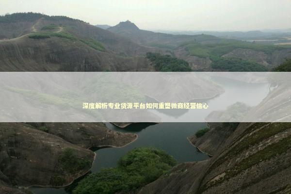 深度解析专业货源平台如何重塑微商经营信心 新闻