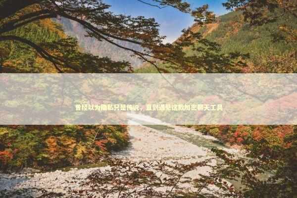 曾经以为隐私只是传说，直到遇见这款加密聊天工具 IT技术