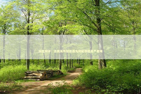 深度测评：这类海外加速器为何能获得用户青睐 IT技术